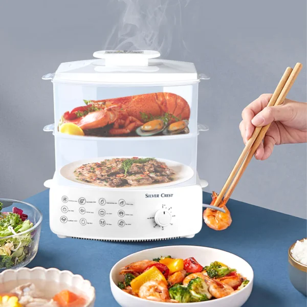 electric steamer